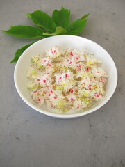 Chestnut flowers from horse chestnut tree, Flores Hippocastani 