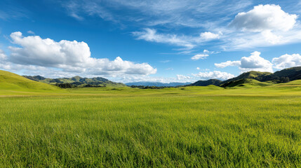 Obraz premium serene countryside landscape with lush green fields and blue skies