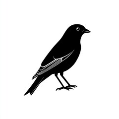 Obraz premium Majestic Bird Silhouette: A Black and White Vector Illustration of Avian Beauty. Perfect for nature-themed designs, wildlife prints, and minimalist artwork.