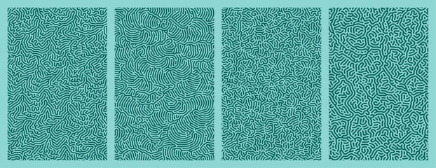 Fototapeta premium set of organic teal turing abstract lines pattern background. pack collection design
