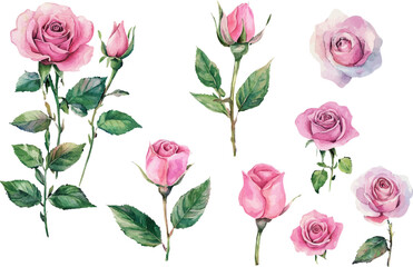 seamless pattern with pink roses