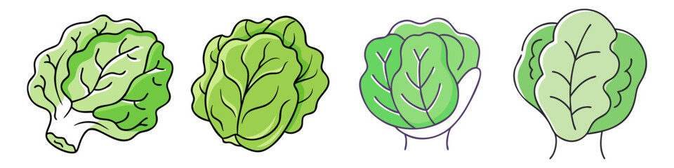 lettuce head vector icon, vegetables vector illustration - simple illustration of lettuce head perfect for logos, and vegetables-themed designs.