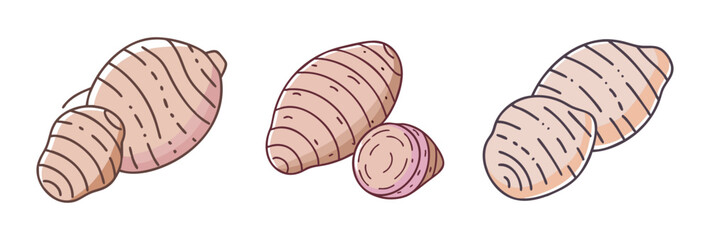 taro root vector icon, vegetables vector illustration - simple illustration of taro root perfect for logos, and vegetables-themed designs.