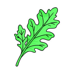 arugula vector icon, vegetables vector illustration - simple illustration of arugula perfect for logos, and vegetables-themed designs.