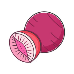 beet slice vector icon, vegetables vector illustration - simple illustration of beet slice perfect for logos, and vegetables-themed designs.