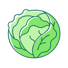 cabbage vector icon, vegetables vector illustration - simple illustration of cabbage perfect for logos, and vegetables-themed designs.