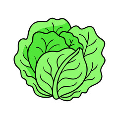 cabbage vector icon, vegetables vector illustration - simple illustration of cabbage perfect for logos, and vegetables-themed designs.