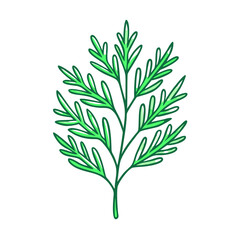 dill vector icon, vegetables vector illustration - simple illustration of dill perfect for logos, and vegetables-themed designs.