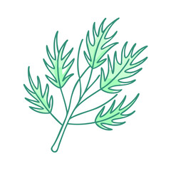 dill vector icon, vegetables vector illustration - simple illustration of dill perfect for logos, and vegetables-themed designs.