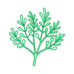 dill vector icon, vegetables vector illustration - simple illustration of dill perfect for logos, and vegetables-themed designs.