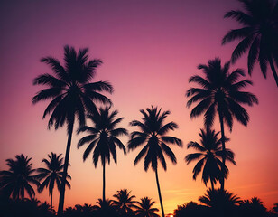 Obraz premium Palm trees silhouetted against a tropical sunset.