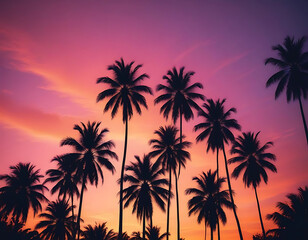 Palm trees silhouetted against a tropical sunset.