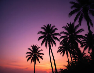 Obraz premium Palm trees silhouetted against a tropical sunset.