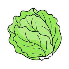 iceberg lettuce vector icon, vegetables vector illustration - simple illustration of iceberg lettuce perfect for logos, and vegetables-themed designs.