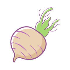 rutabaga vector icon, vegetables vector illustration - simple illustration of rutabaga perfect for logos, and vegetables-themed designs.