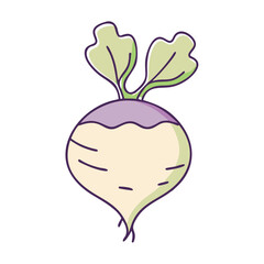 rutabaga vector icon, vegetables vector illustration - simple illustration of rutabaga perfect for logos, and vegetables-themed designs.