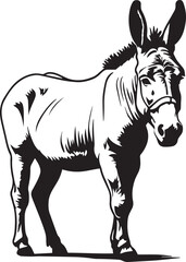 Fototapeta premium Black donkey silhouette vector illustration on white background.