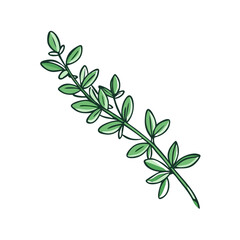 thyme sprig vector icon, vegetables vector illustration - simple illustration of thyme sprig perfect for logos, and vegetables-themed designs.