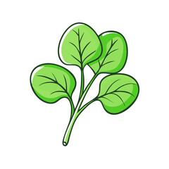 watercress vector icon, vegetables vector illustration - simple illustration of watercress perfect for logos, and vegetables-themed designs.