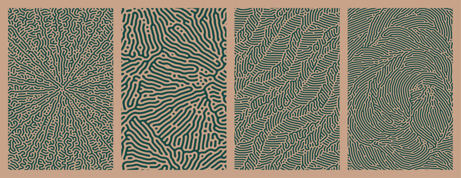 Set of collection abstract green patterns background designs with organic Turing style line patterns