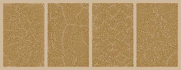 A set collection of brown abstract organic line turing patterns backgrounds