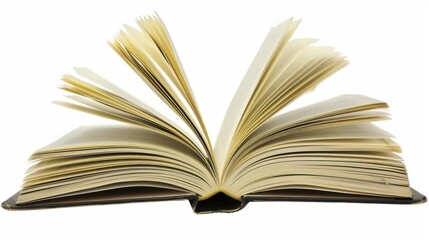 Fototapeta premium A book