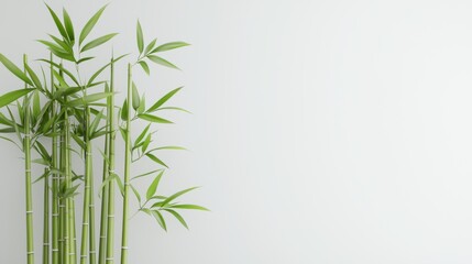 Obraz premium Green bamboo stalks against a white wall, representing growth, renewal, and tranquility in a spa setting.