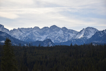 Fototapeta premium Snow-capped High Tatras peaks rise above a vast, lush green forest, creating a breathtaking contrast between the icy European mountain tops and the dense woodlands below. Untouched mountain panorama. 