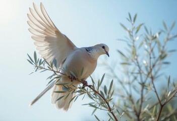 Obraz premium Dove with Partially Spread Wings Perched on a Branch with Green Leaves and Clear Blue Sky Background