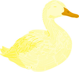 duck