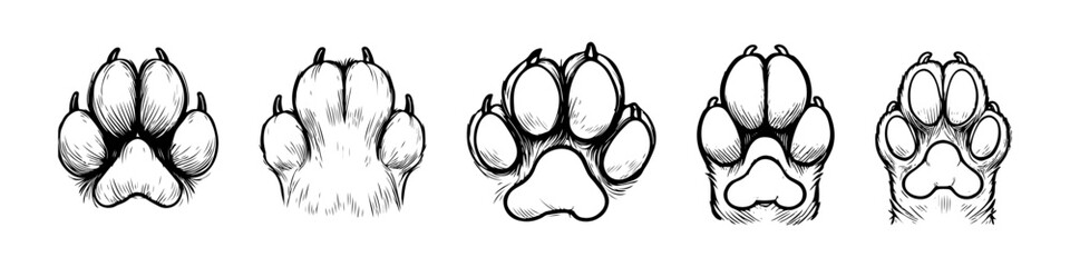 Cat paw set in sketching graphic style. Animal footprint vector illustration © polgin
