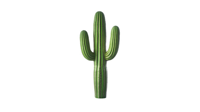 Cactus Png Images  Browse 185,915 Stock Photos, Vectors, and Video | Adobe  Stock