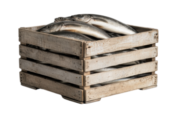 Fresh fish displayed in a rustic wooden crate