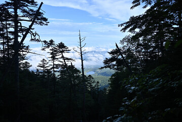Climbing Mt. Tateshina, Nagano, Japan