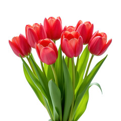 Fototapeta premium Bouquet of tulips on transparent background