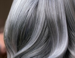 Fototapeta premium close up of beautiful gray hair showing silver strands and natural shine