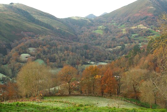 Paisaje oto&ntilde;a de monta&ntilde;a, Asturias.