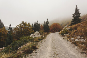Foggy road in the mountains, Velebit National Park, Croatia