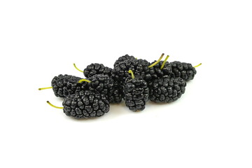 Close-up Mulberries fruit isolated on white background.