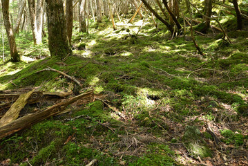Climbing Mt. Tateshina, Nagano, Japan