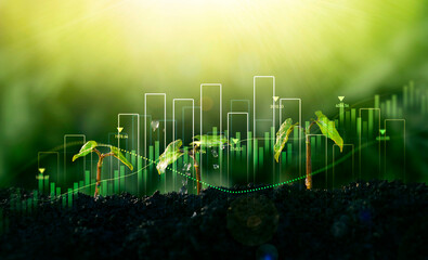 Concept of business growth,profit, development and success. Young plants increase on sunny...