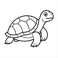 Turtle on white background