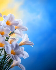 White flowers bouquet against a bright blue sky;  springtime floral arrangement, perfect for greeting cards or website banners