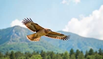 Fototapeta premium Majestic eagle soaring through clear sky over mountains, wildlife conservation