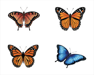A set of Butterfly silhouette vector  art illustration