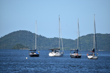 Obraz premium Four boats sailling