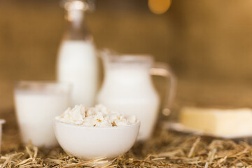 Milk, cottage cheese, cream, cheese on table against the background of hay