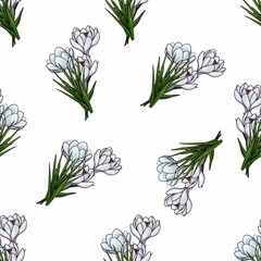 Seamless Pattern of a Big Bouquet of White Crocuses for Textiles and Wrapping Paper