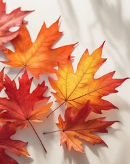 Obraz premium Close Up of Autumn Leaves in Red Orange Yellow Gradient