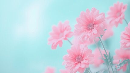 Fototapeta premium Dreamy Pink Flowers in Soft Pastel Background, Floral Photography, Landscape in 16:9 Aspect Ratio, Elegant Blossoms for Nature Lovers and Romantic Decor, Delicate Petals, Tranquil Aesthetic Background